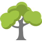 Buckeye Tree Removal Service